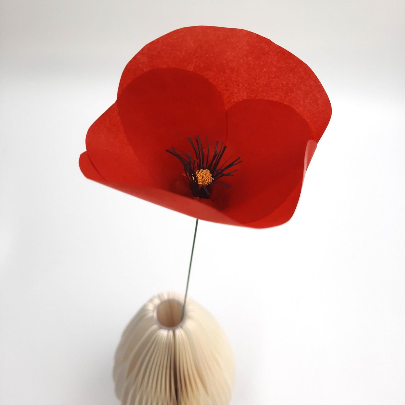 Decorazione carta <span>Papavero</span> - immagine 3
